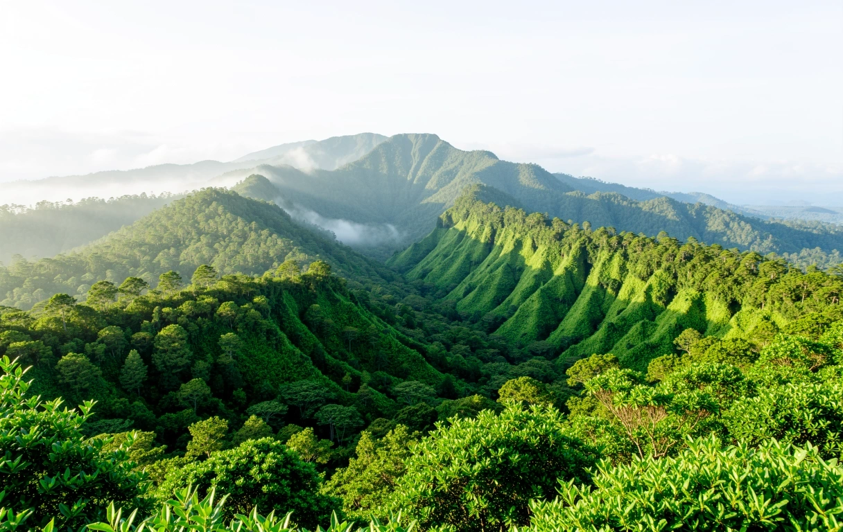 High altitude botanical environment